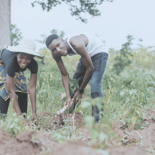 young african adults learning to farm sustainable