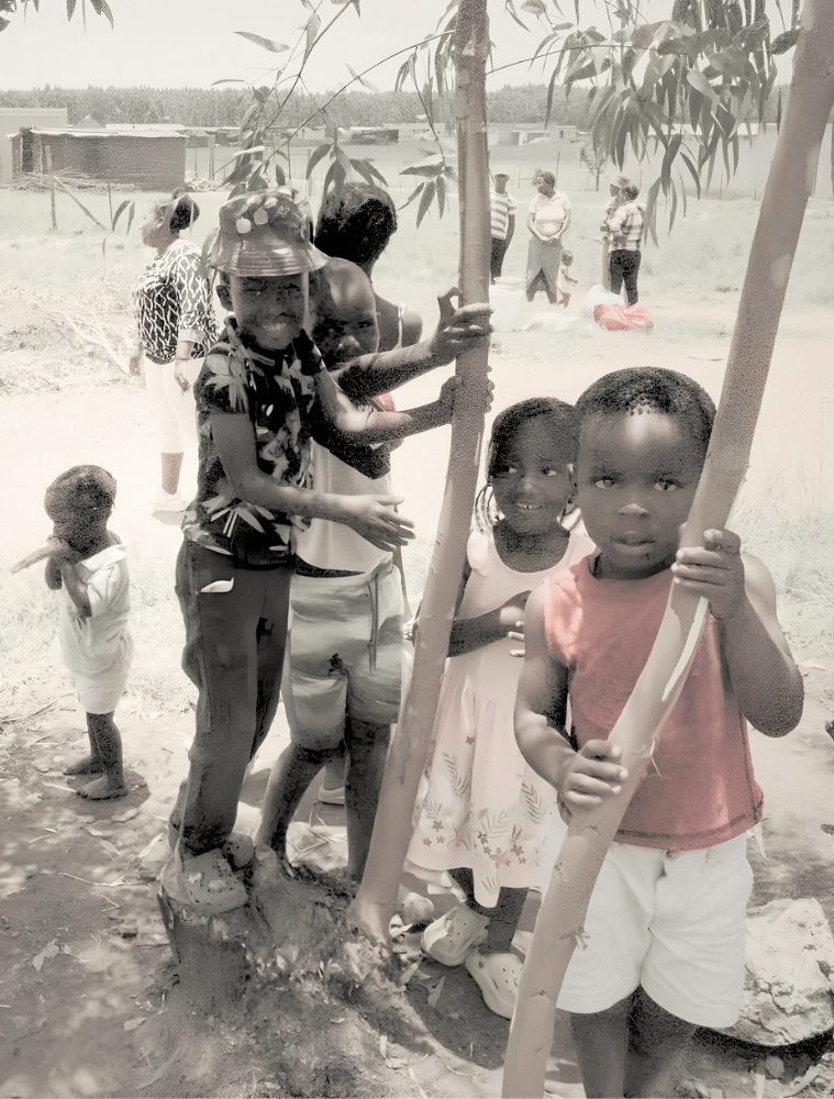 Unterstütze ROOTS & BRIDGES