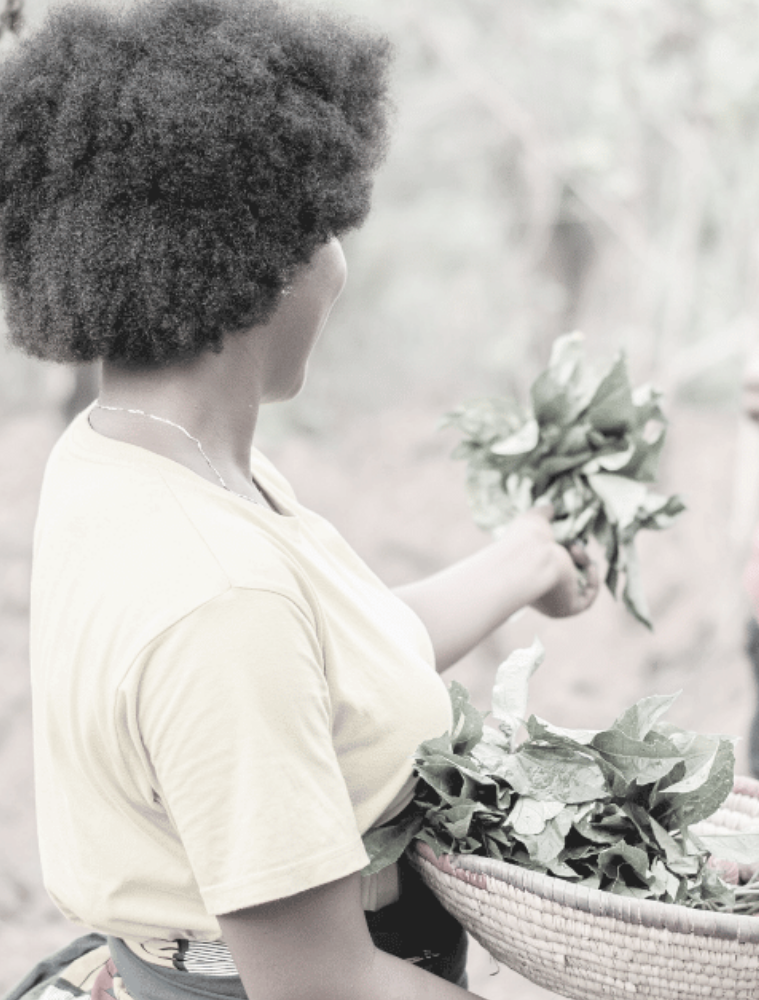 Ermögliche eine Ausbildung